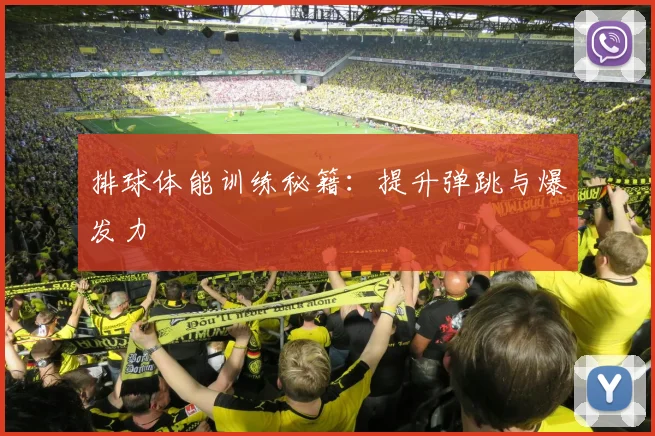 排球体能训练秘籍：提升弹跳与爆发力