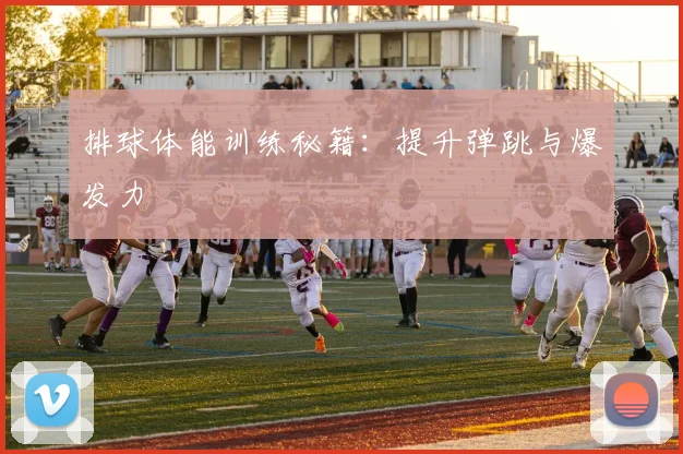排球体能训练秘籍：提升弹跳与爆发力