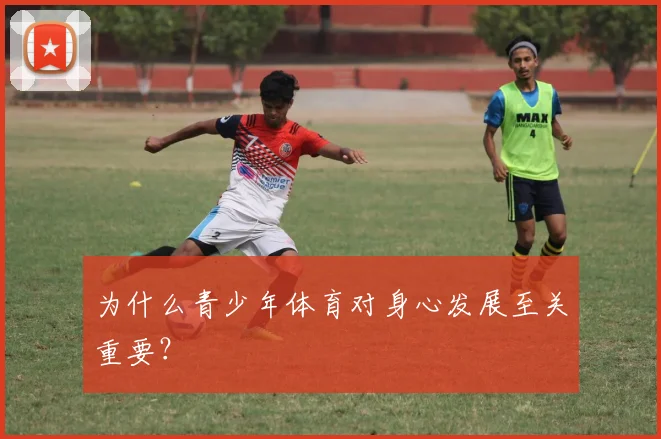 为什么青少年体育对身心发展至关重要？